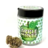 Apple Mintz