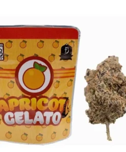 Apricot Gelato