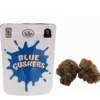 Blue Gushers