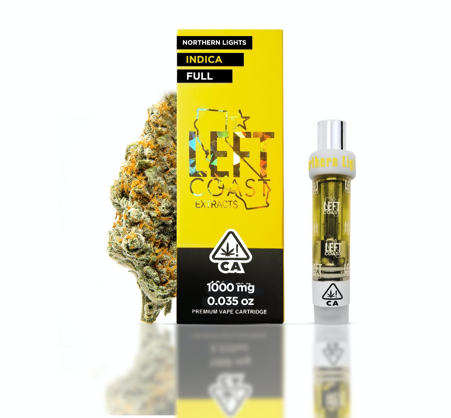 Northern Lights Northern Lights